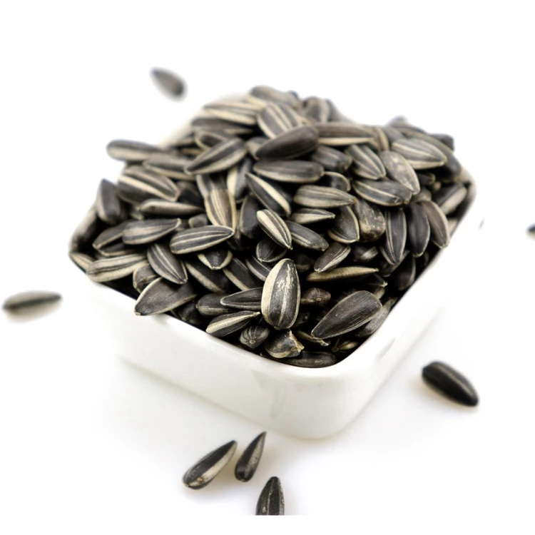 Cheap Sunflower seeds Chinese sunflower 363