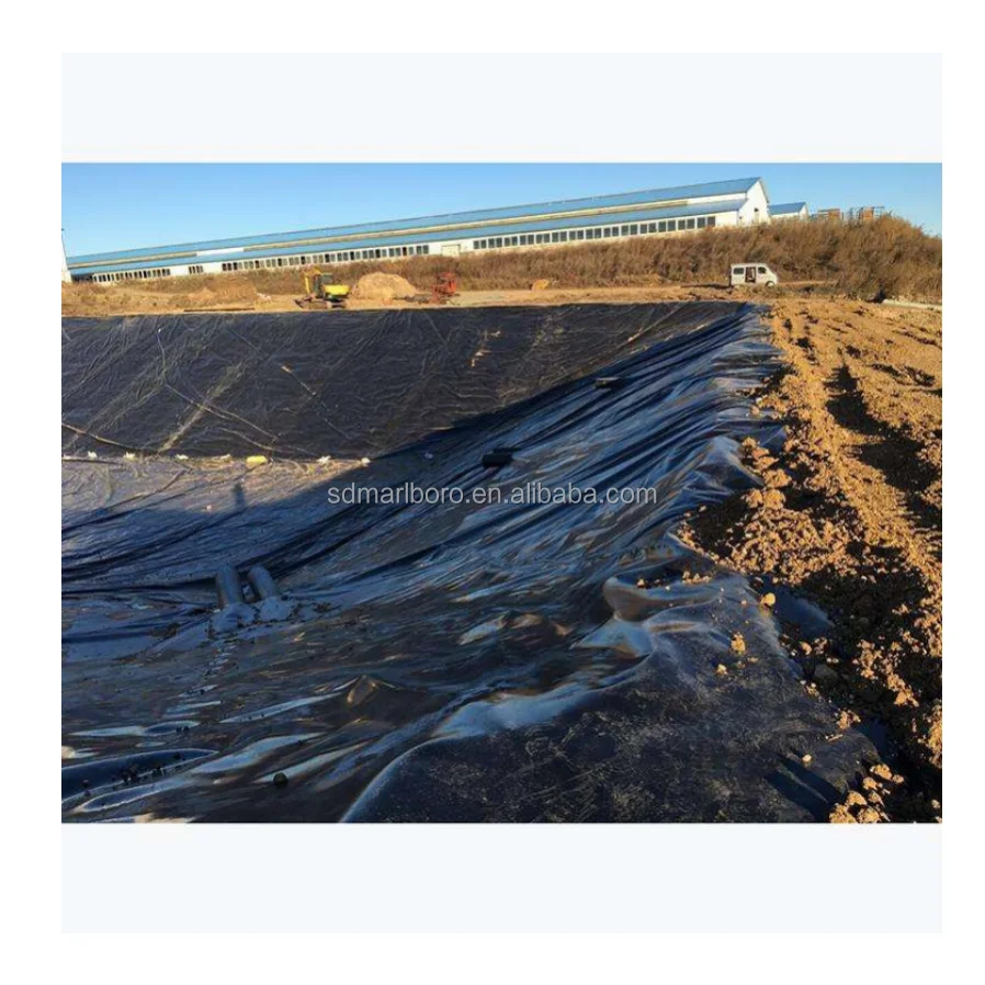 0.5mm 0.75mm Fish Pond Liner Aquaculture HDPE Plastic Sheet Dam Liner for Aquaculture Farm HDPE Geomembrane