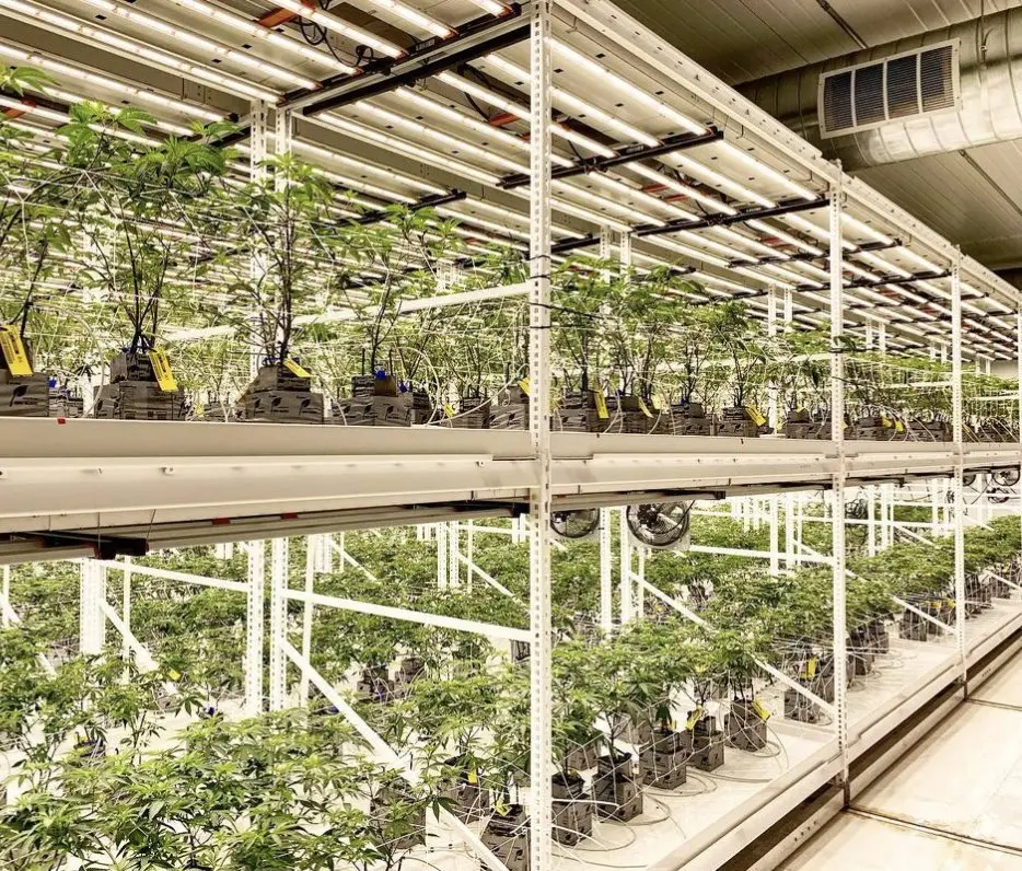 Irrigation Hydroponics Equipment Indoor Growing Rack Systems