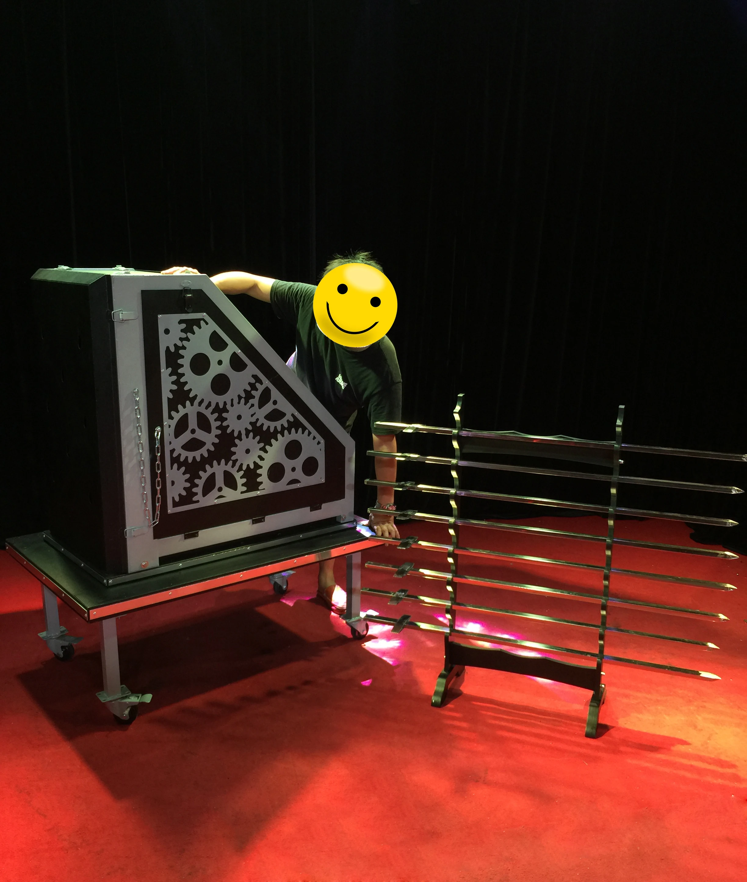 Magic Sword Boxes Illusion Piercing Magic SPiercing Beauty Company Annual Meeting Large Magic Props/Great Transformation