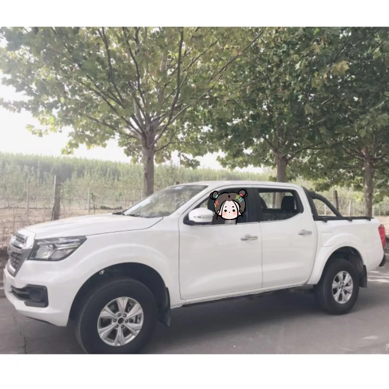 Дешевая цена dongfeng Rich 6 дизельный автомобильный пикап в Китае 5 больших пространств для семейного пользователя
