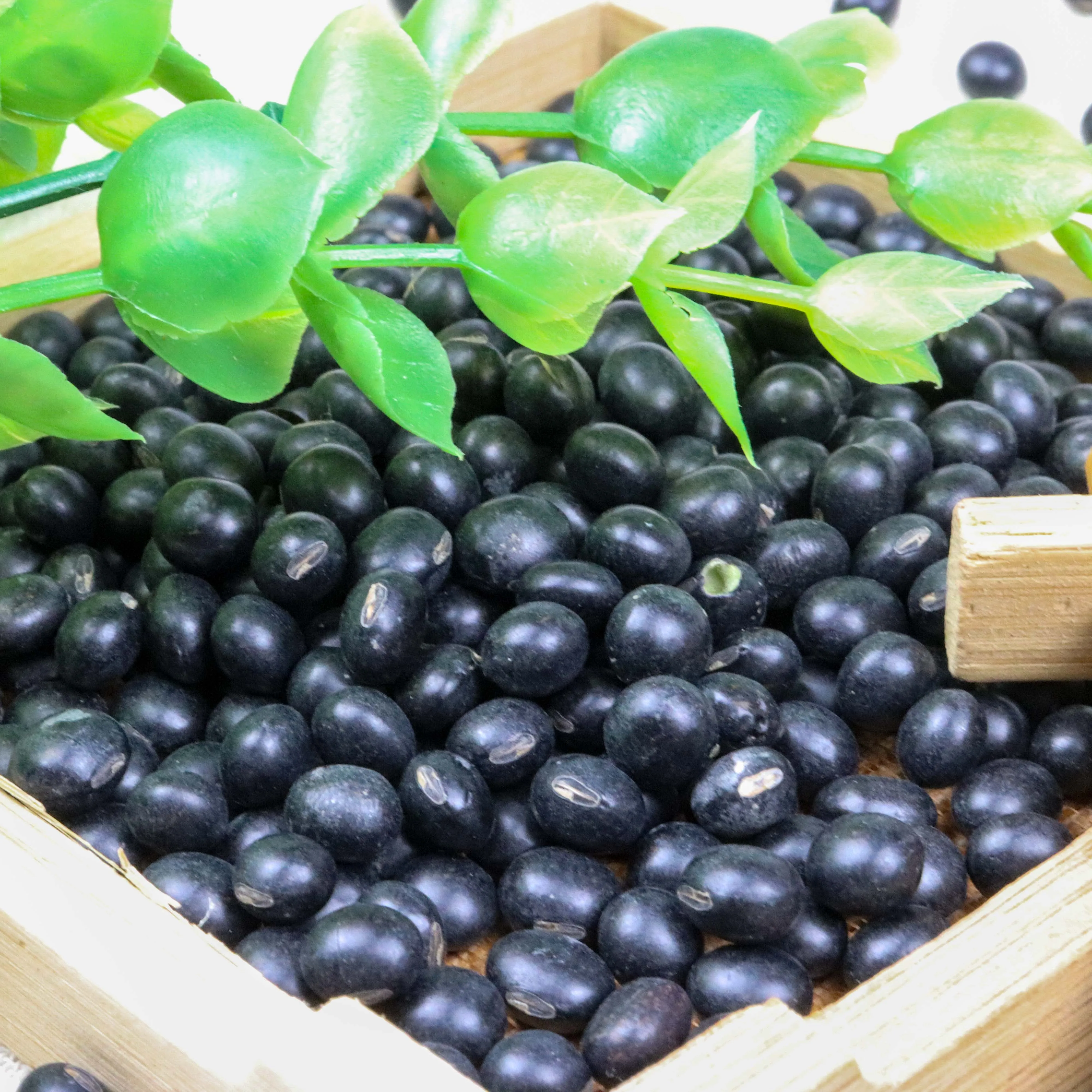 
black bean 2021 new crop black soybean oil seeds food making 