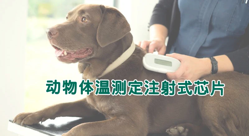 LAIPSON temperature microchip rfid reader for mat rice and dog
