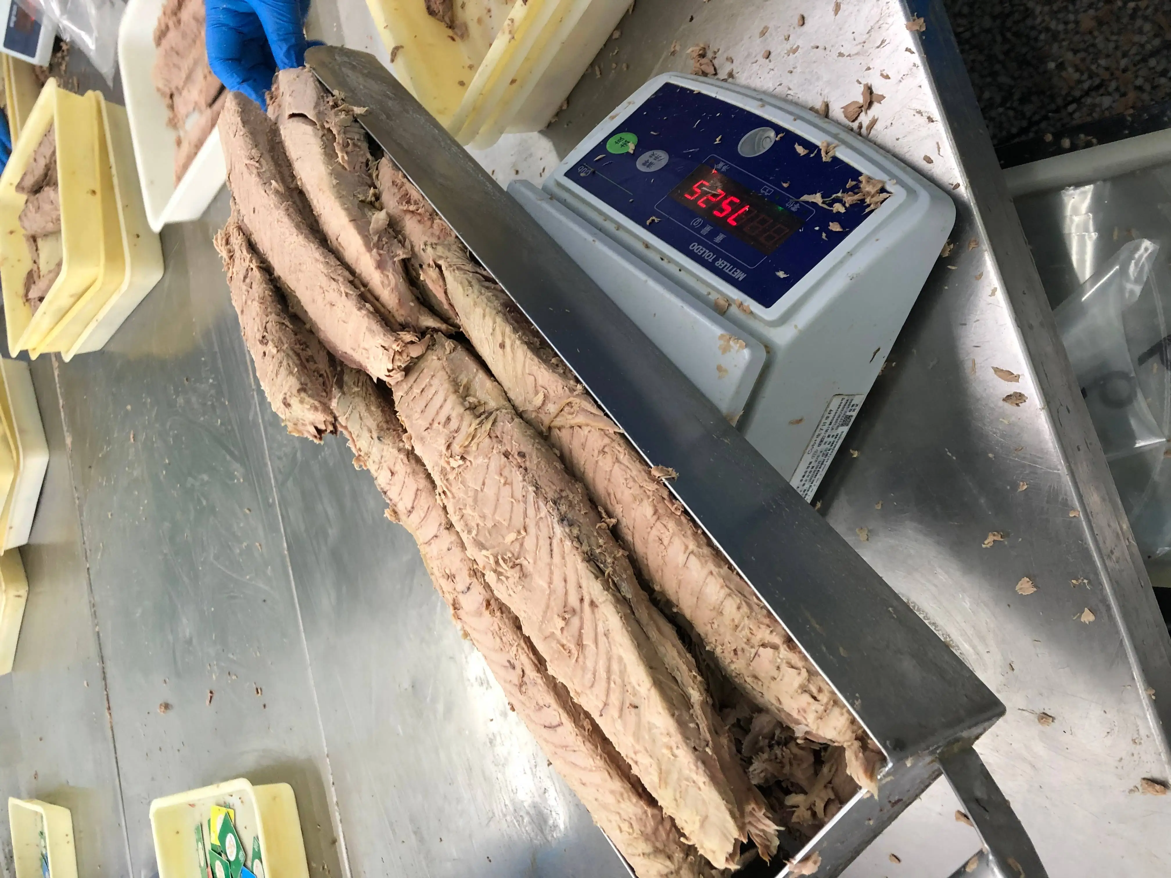 Frozen Skinless Boneless Yellowfin Tuna Loin 7.5kg Pacific Indian Ocean Vacuum Pack Box Fresh Canned Style