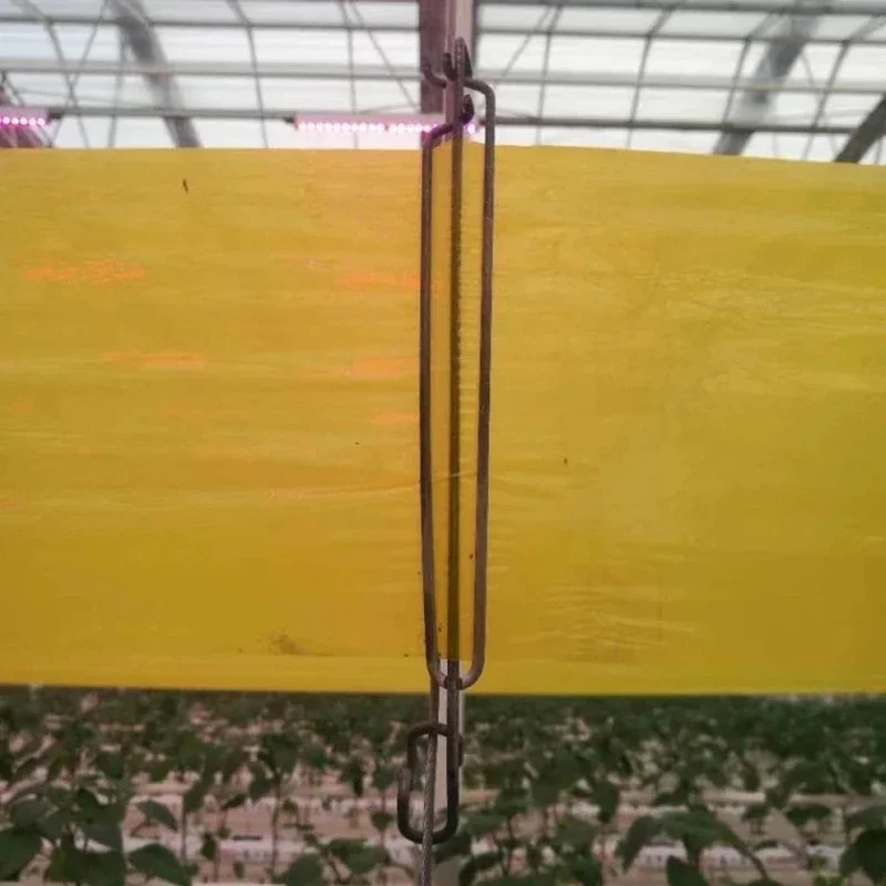 yellow Double sided glue covered sticky roll traps bug catching fly tape rolling for aphids