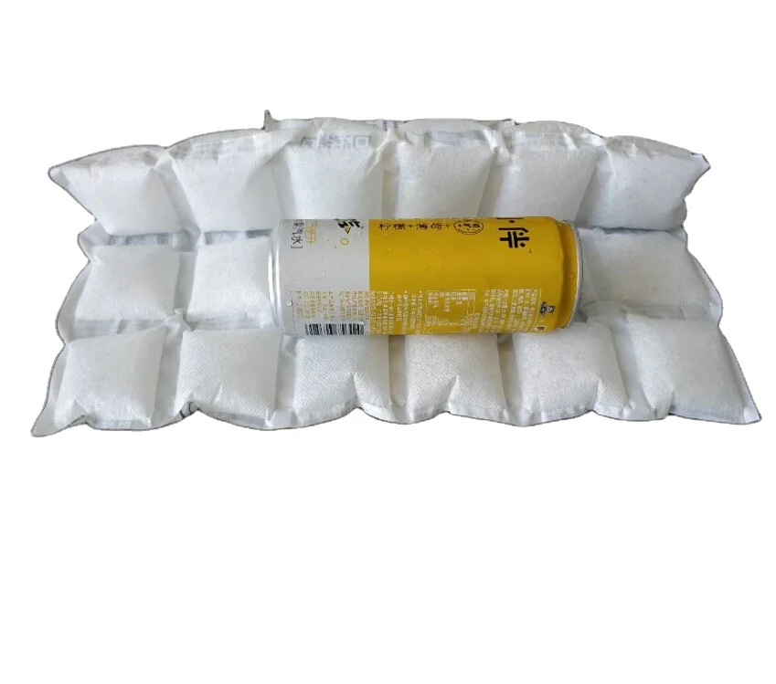 Food grade dry ice pack sheet techni ice packs for seafood chilled transport