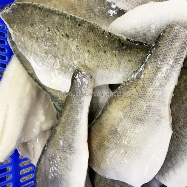 Hot Sale Fresh Frozen Whole Round Sea Bass Fish