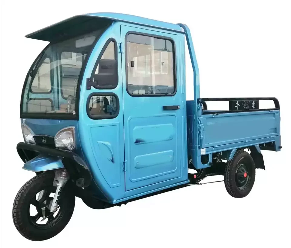 Made in China 2 Seat Electric Car Adult Mini Truck Cargo Tricycle Adult Cheap Delivery Electric Tricycle with Cover