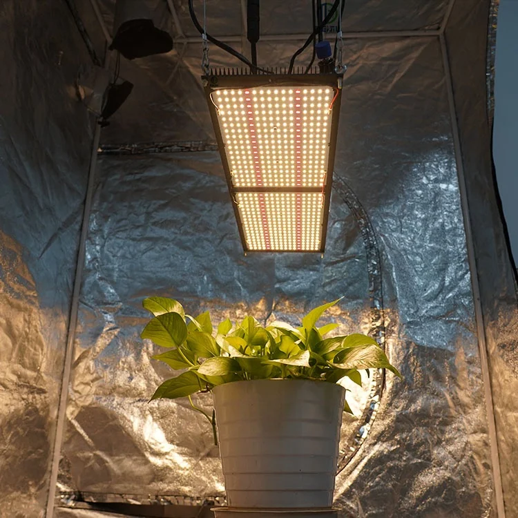 Meijiu qb new 240W 2835 mix 660nm Epistar dimmable led grow light for housegrow