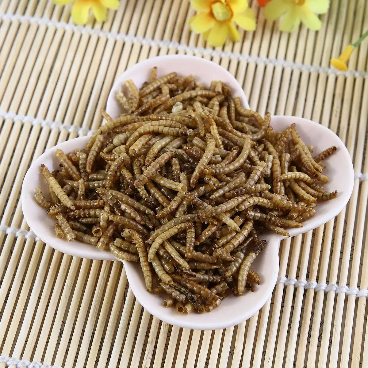 natural material popular pet food dried mealworms protein powder