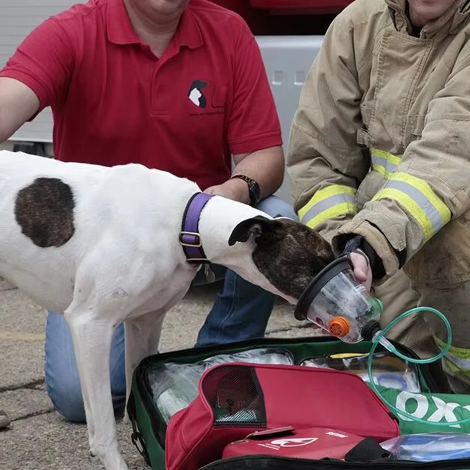 Veterinary Clinic Pet Pvc Face Oxygen Anesthesia Mask Pet Dog Cat Oxygen Breathing Mask