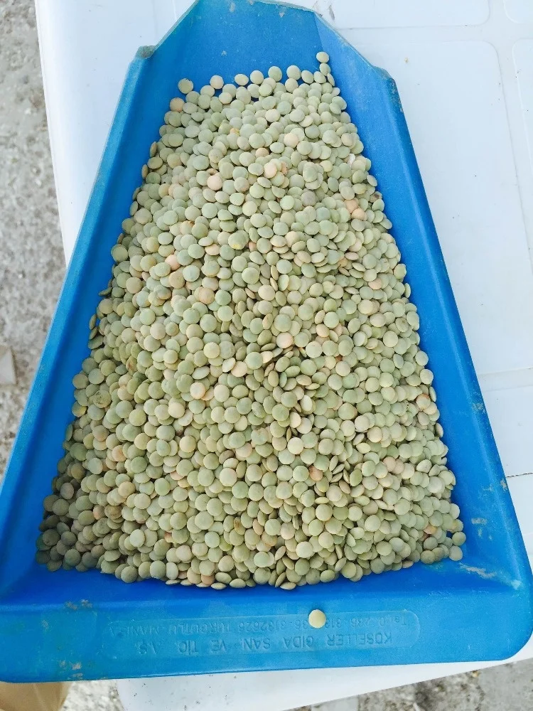 
Green Lentils 6mm good quality origin Turkey 