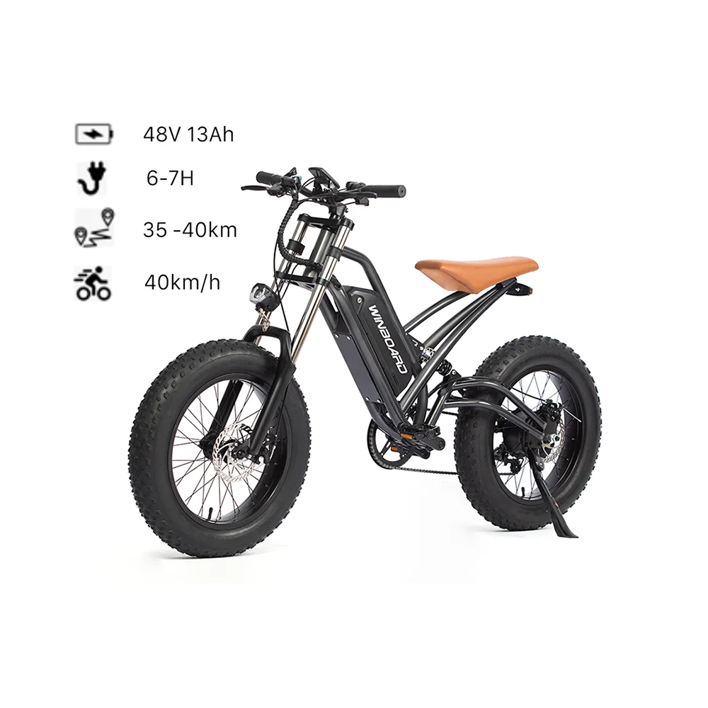 
High Performance Manufacturing Fast Speed Other Big Tire Powerful 1000W 500W Motor Hub Smart Electric Bicycle 