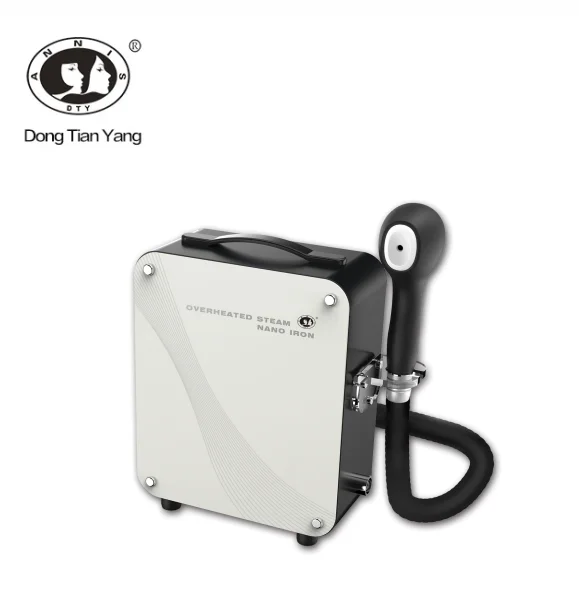 DTY Профессиональный микро туман ручной волос парогенератор для спа для салона красоты
