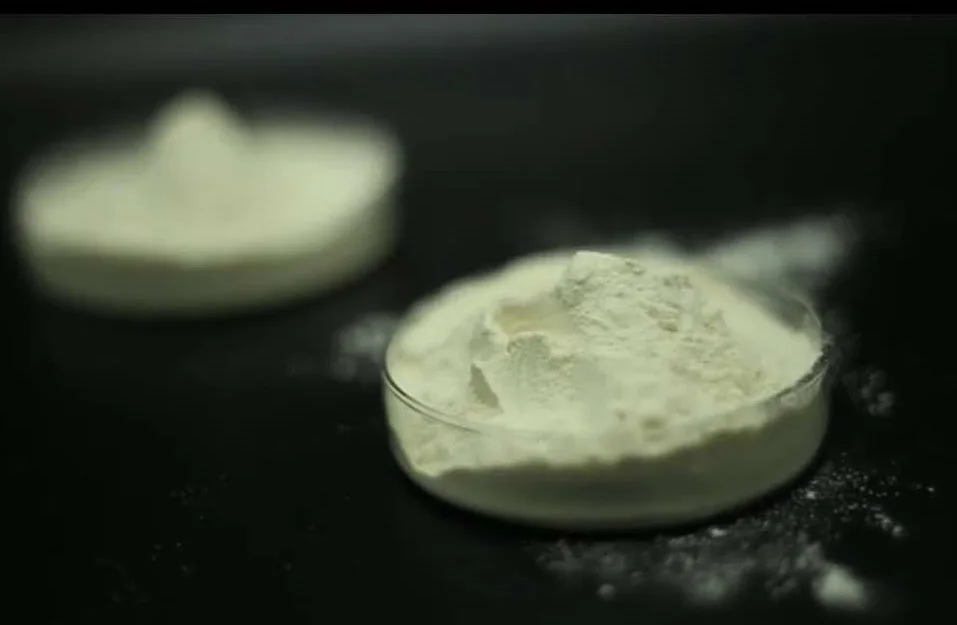 Natural rice peptide extract hydrolyzed protein peptide