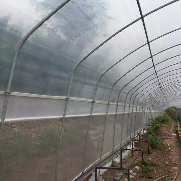 High Quality Custom Size Arched Shed Round Arch Single Shed Plant Growing Greenhouse