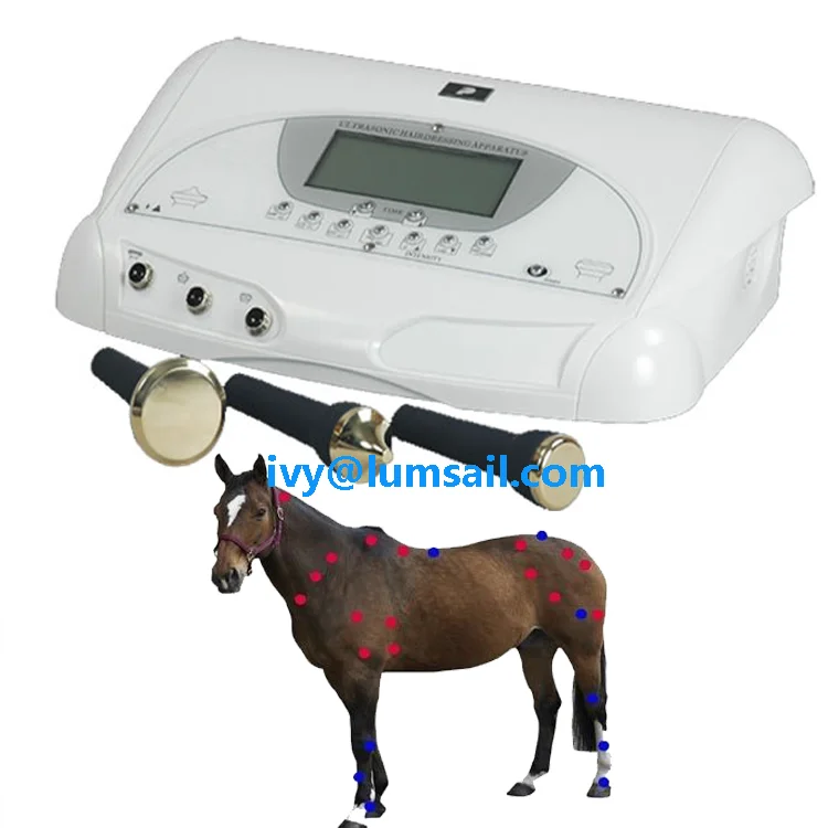 veterinary ultrasound s.png