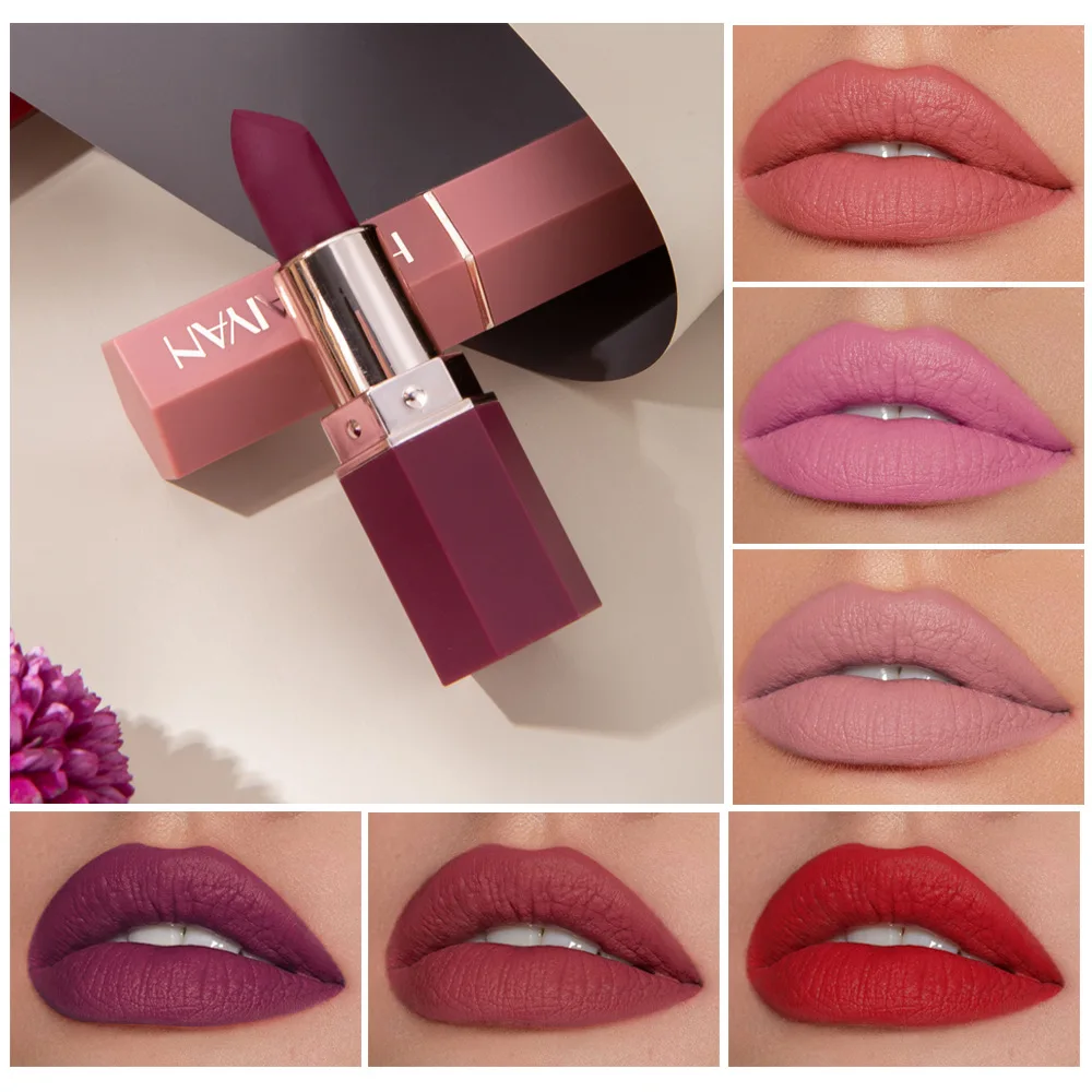 
dropshipping own brand Cheap 6 hour high quality lipstick no logo low moq no label makeup matte lipstick 