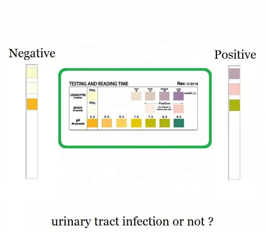 3in1 Full Panel UTI Test Strips for Women Urinalysis Urine Test Strip for UTI Bladder at Home Urinary Tract Infection Test Kit