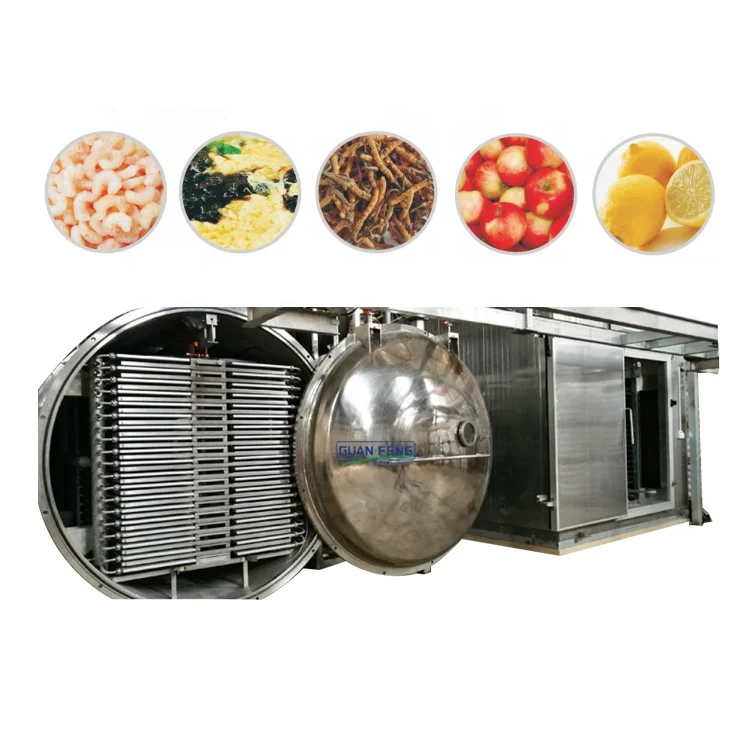 Commercial Kiwi Fruits Freeze Dryer Food Processing Machinery Lyoohilizer