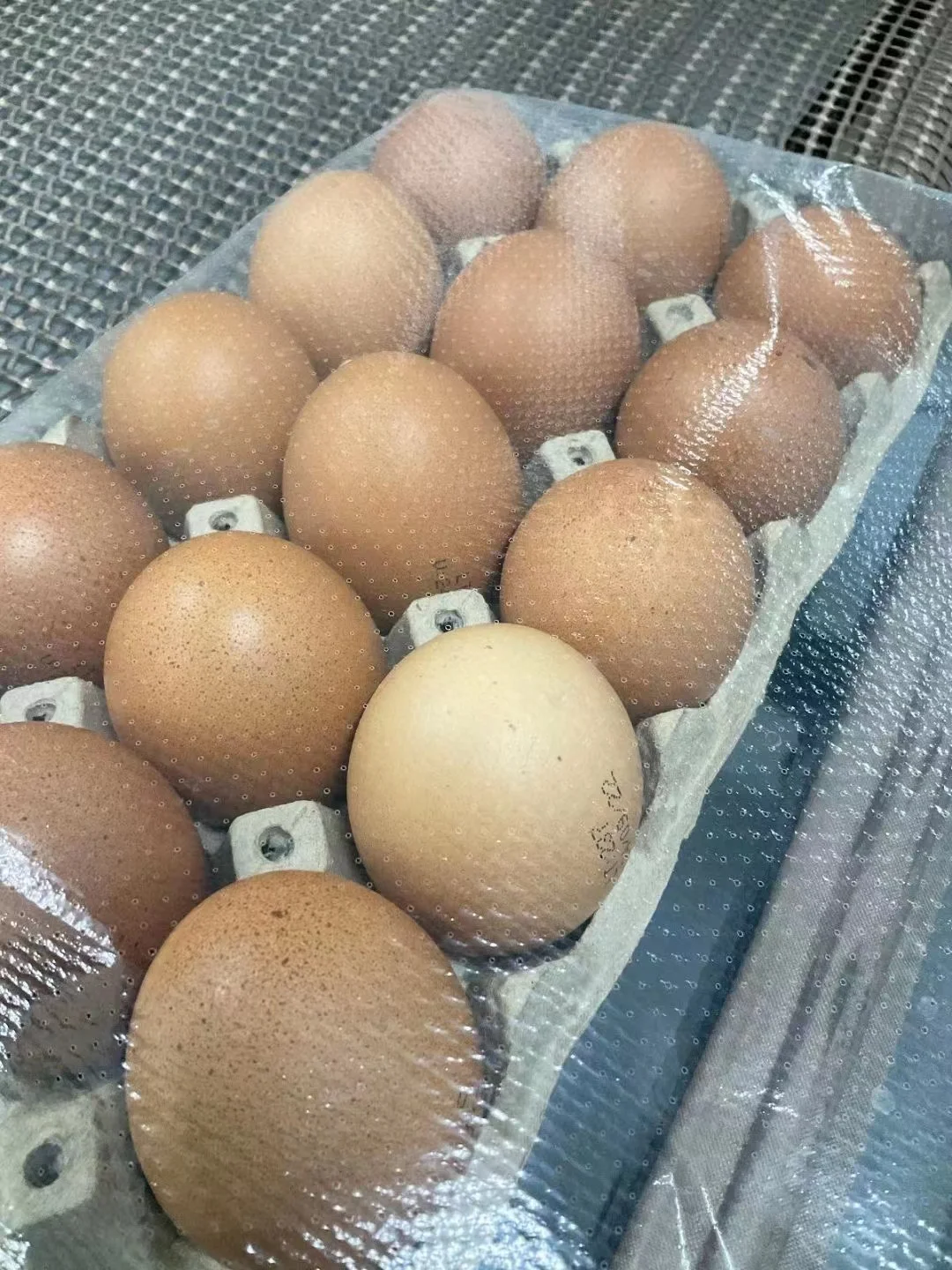 Hot Perforation Polyolefin Shrink Film Packaging for Egg Tray and Vegetables