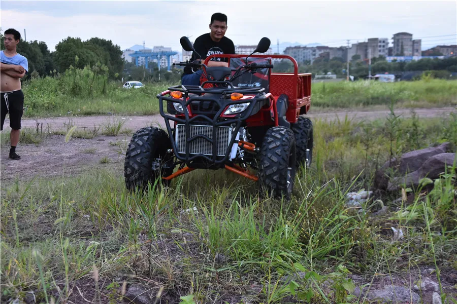 Производители пикапов qaudi машинная машина Китай рабочий автомобиль 4x4 2 сиденья утилита вездеход трейлер