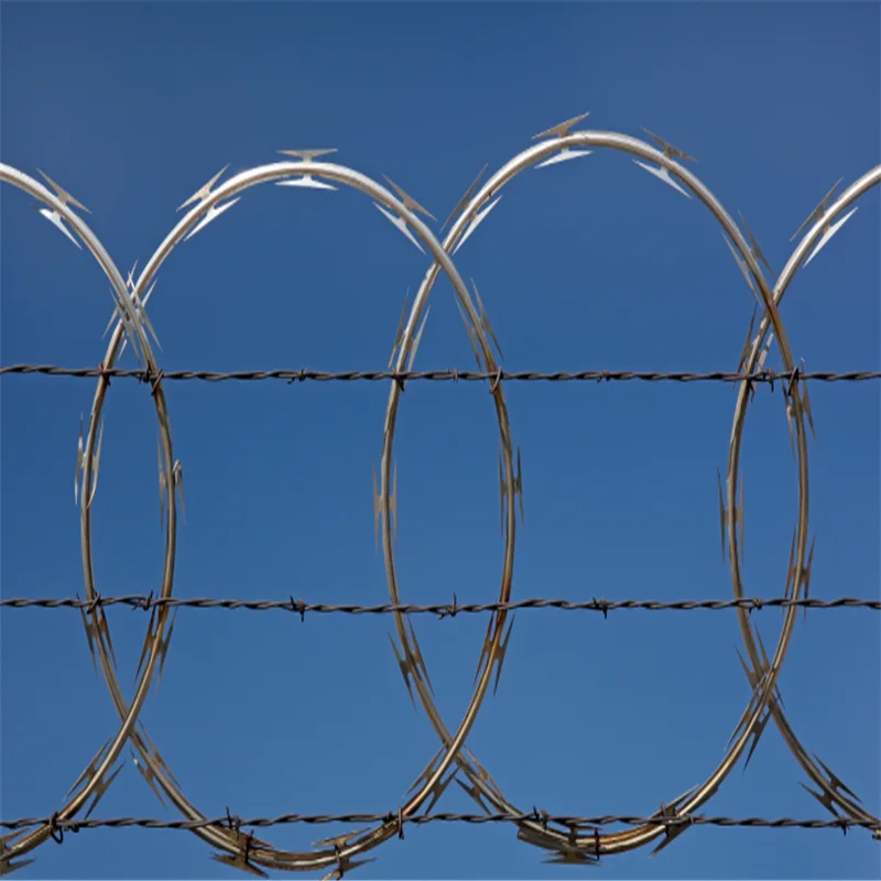 BTC Galvanizing concertina Razor Wire Barrier coils connected