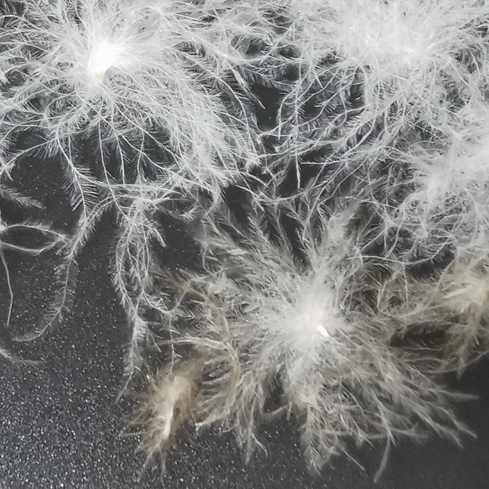 Распродажа 95%, мытый серый мусковый материал, одежда, пуховое перо