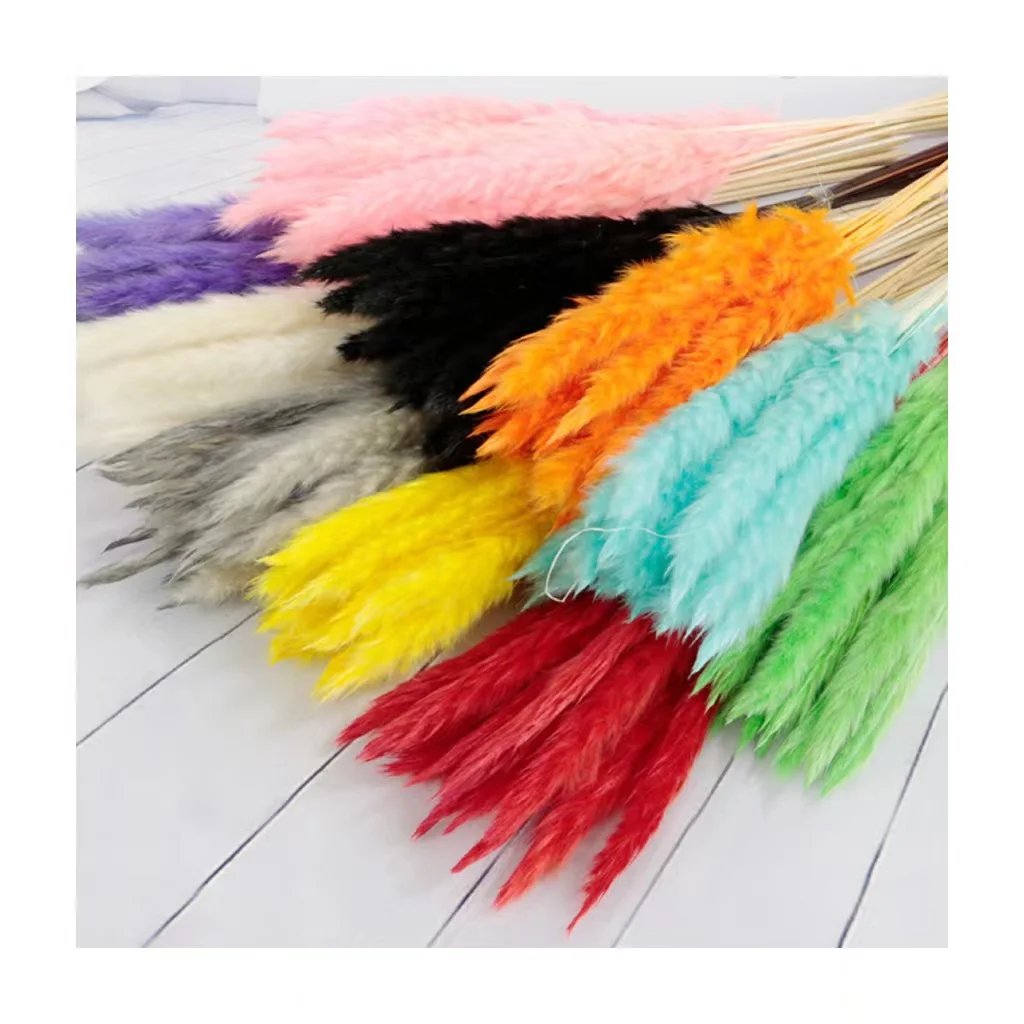 Kunming supplier colorful mini pampas grass for bulk sale