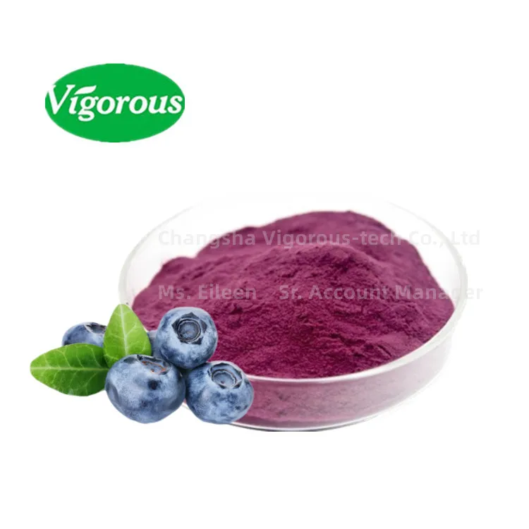 100% Natural pigment Hot sale Blueberry juice powder Anthocyanidins Super food Organic Blueberry Powder
