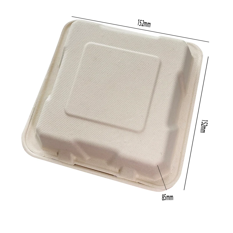 Wholesale Compostable Sugarcane Lunch Box Biodegradable Takeaway Clamshell Food Container