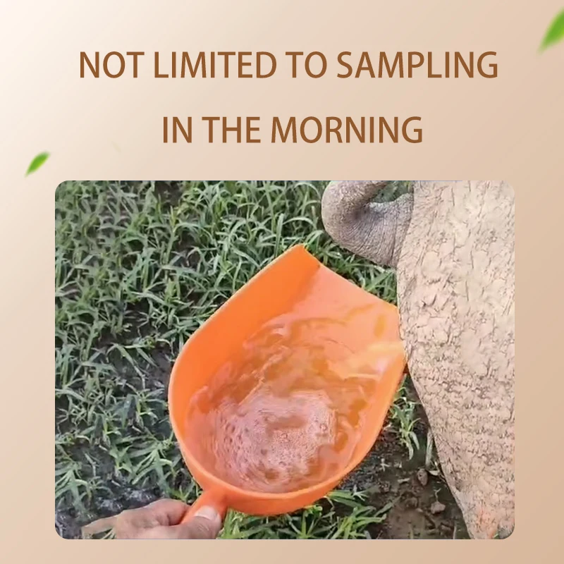 Pig  pregnancy test strip accurate 28-day pregnancy rapid test kit support sample animal livestock equipment veterinary medicine