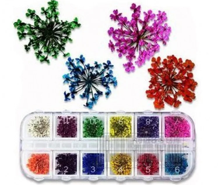 12pcs/box 3d diy dried flowers nail art decorations real dried flower stickers manicure charms designs for nails accessories