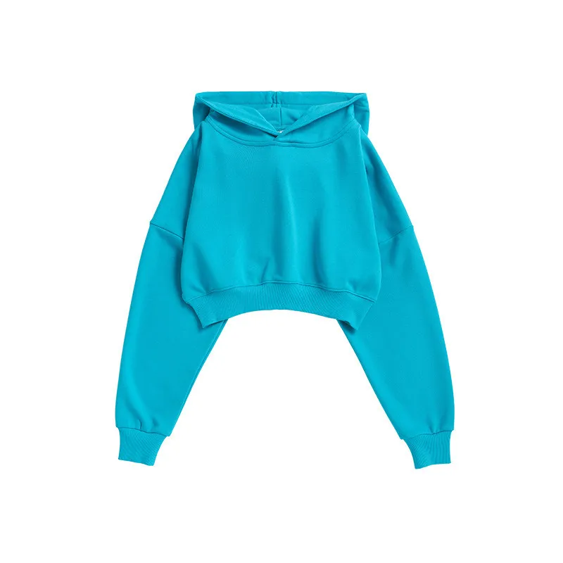 HD240 Custom Logo Own Design Winter Wholesale Plain Pullover Sweatshirt Cropped Top Hoodie Manufacturer In China