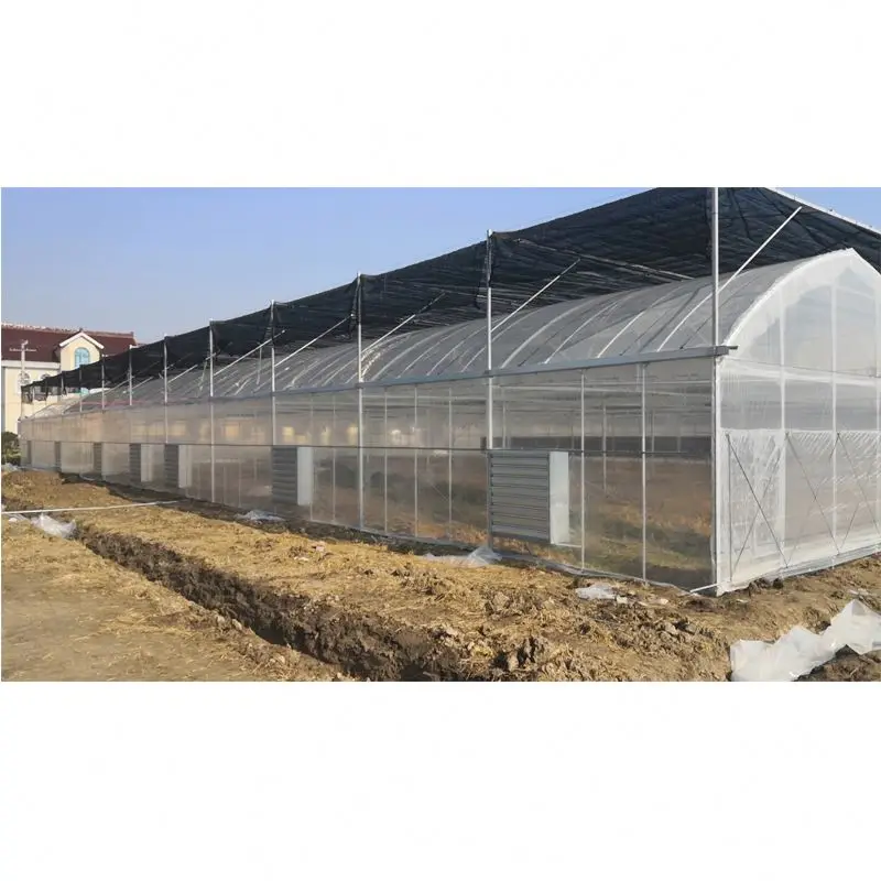 200 micron double layer plastic film  hydroponics growing system greenhouse