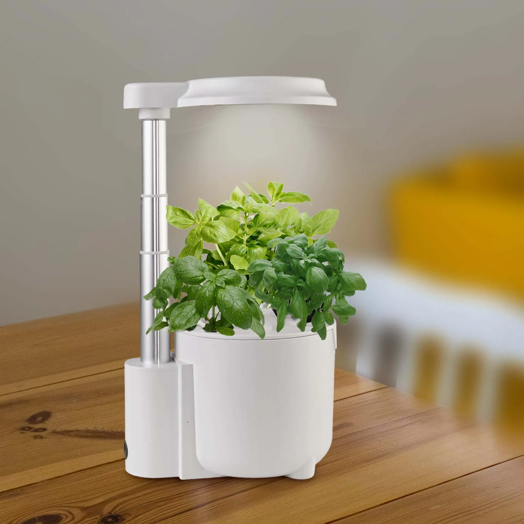 Indoor Herb Garden Growing Kit Hydroponic Small Hydroponic Herb Garden Home Garden Grow Kit Indoor Grow System with LED