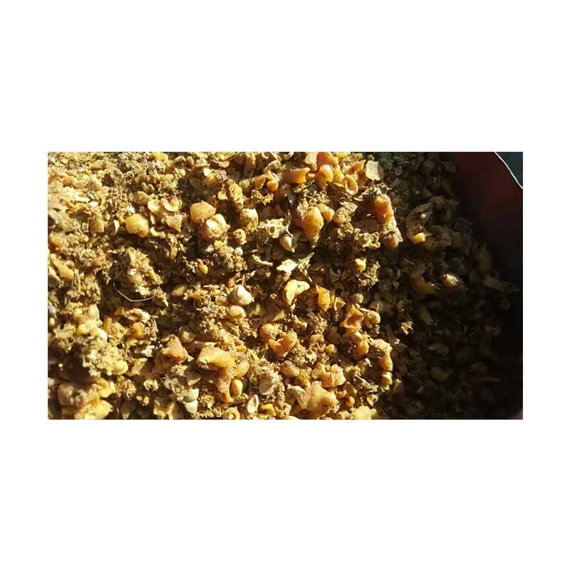 hotselling Dried Herbal Tea Drink Brown Gum euphorbia