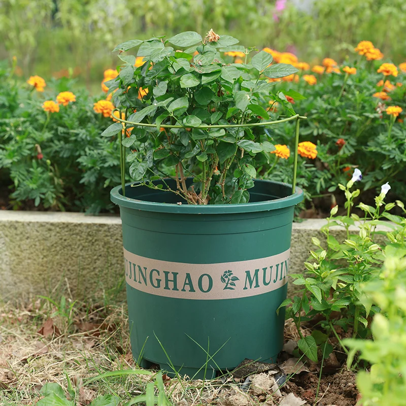 Durable Garden Single Stem Support Ring Cage Garden Plant Support Ring