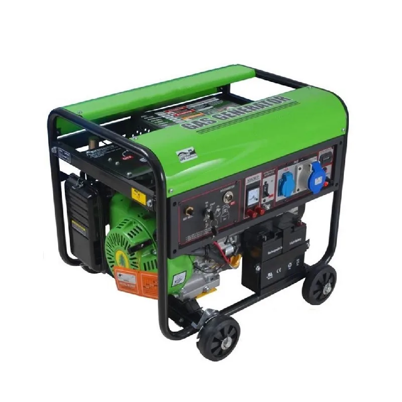 5kw biogas plant to generate electricity biogas generator power price 5kw for home biogas use