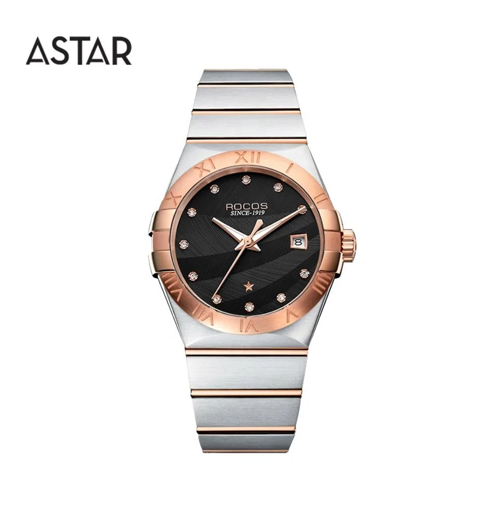 Dropship High Quality Sapphire 316L All Matt Stainless Steel Mechanical Automatic Transparent Caseback Watch Man for Sale