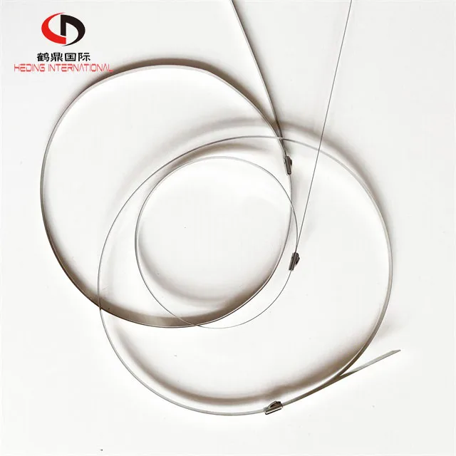 HDBGZD 16*250MM-16*1500MM201Stainless steel /marine self-locking/metal/ label/cable/bridge tie
