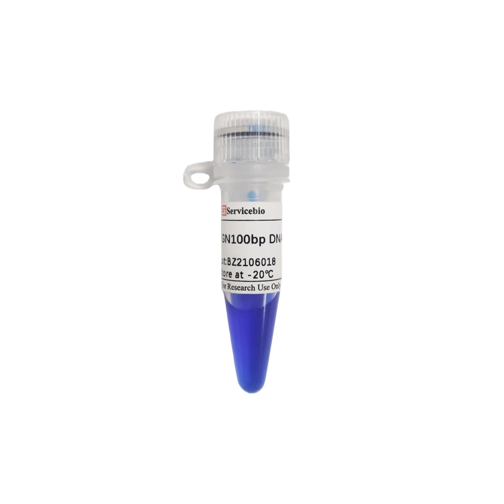 Molecular Biology Blue GN100bp DNA Ladder III