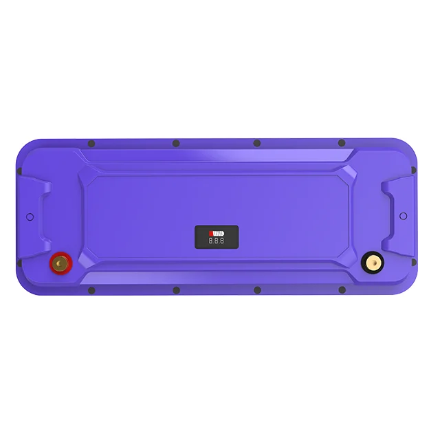 12V 24V LiFePO4 Lithium Ion Phosphate Lead Acid Replacement Batteries ABS Lithium Solar Battery for Residential
