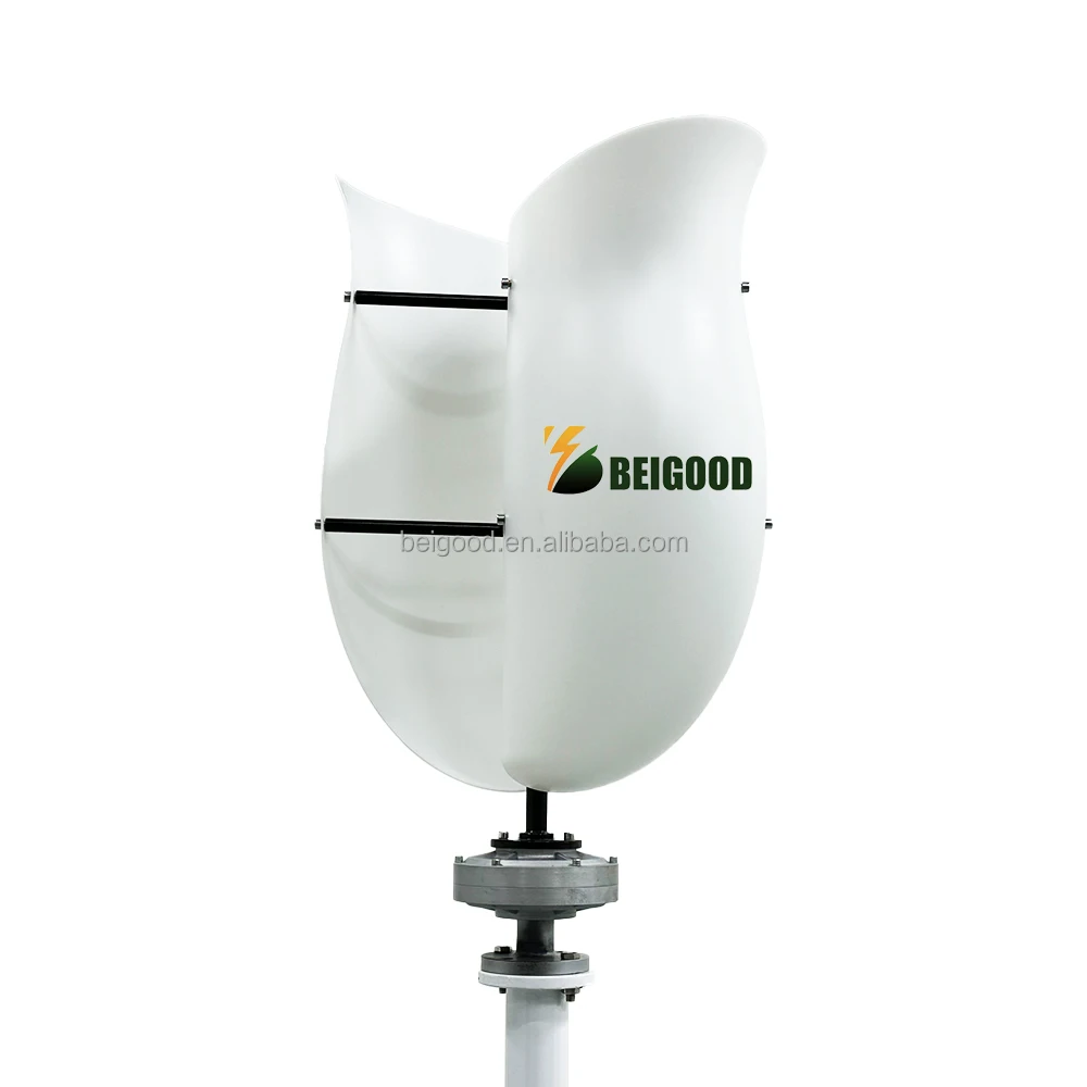 Solar Generators 12v 24v 48V Alternative Energy Wind Generator for Home and Low Area Vertical Turbine 1000w