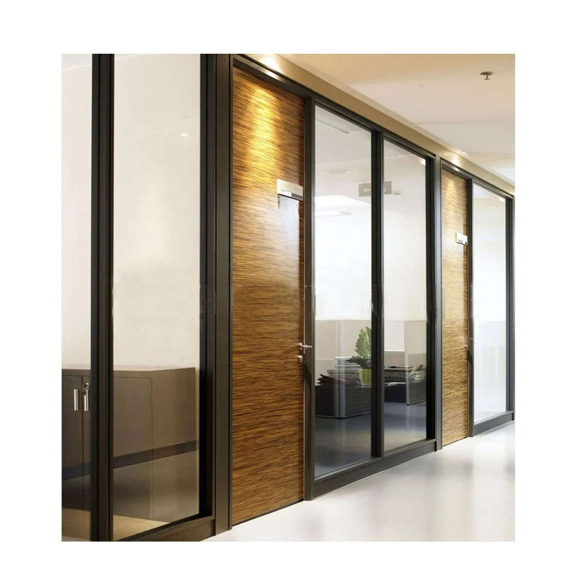 Luxury Black Frame Types of Glass Wall Widely Used Office Room Dividers (SZ-WS572)