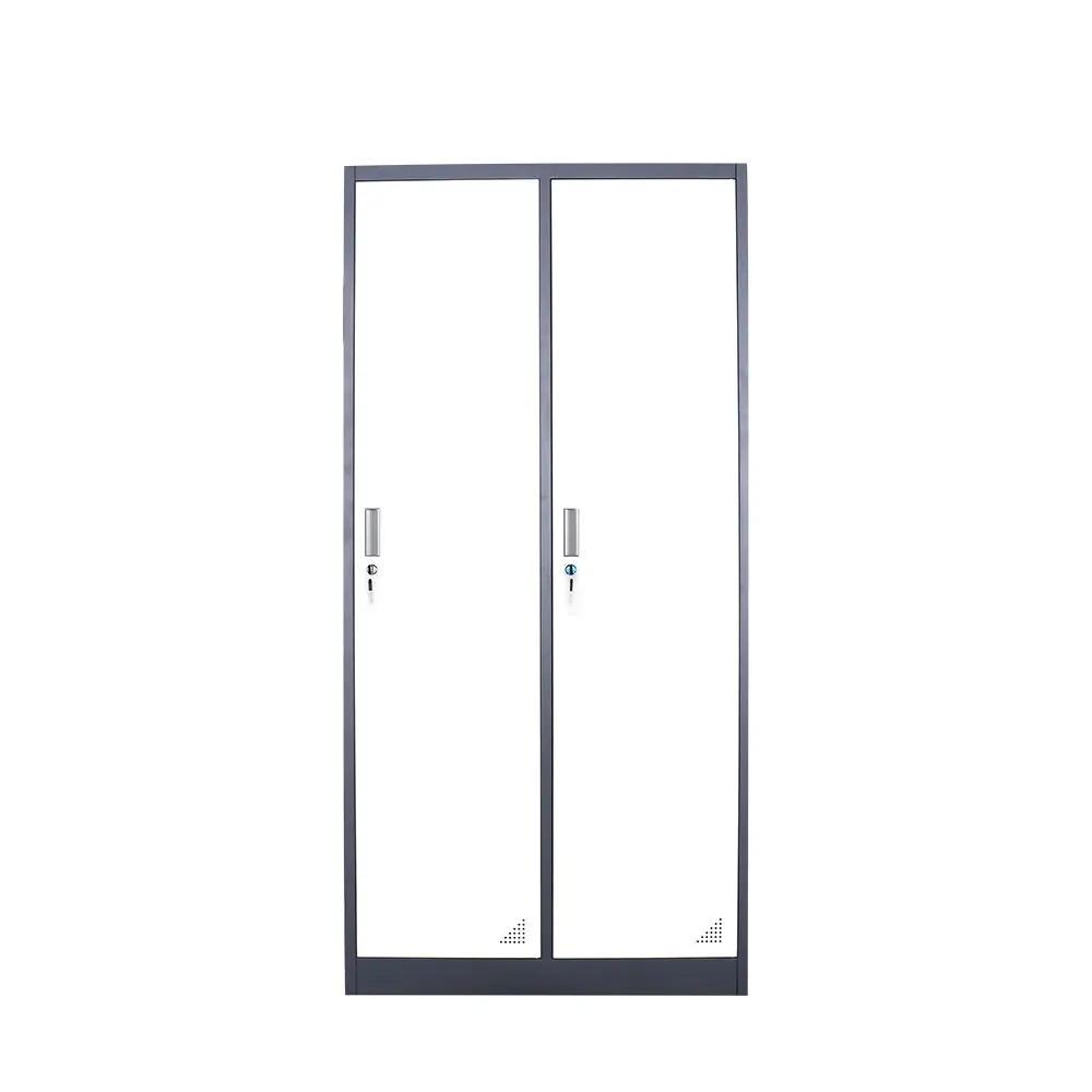 Wholesale price Metal File Cabinets Office 2 Door Metal Storage Cabinets with 3 Mobile Shelf Filing Kabinet lemari besi archivad