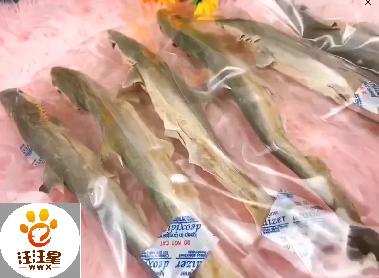 Замороженная сухая рыба Basa для собак и кошек с высоким содержанием белка свежим рыбным