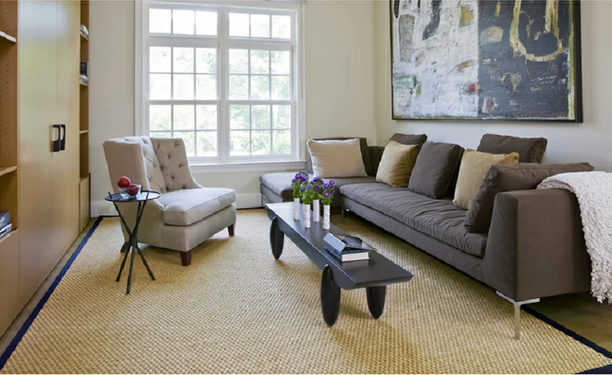 Indoor Hallway Entryway Livingroom Accent Sisal Carpet