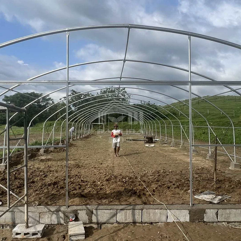 High tunnel single span single layer serre agricultural greenhouses plastic film serre agricole prix for tomatoes