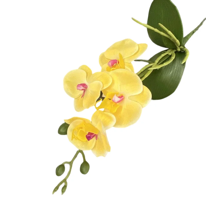Wholesale High Quality Artificial Plastic 4 Heads Phalaenopsis Orchids Real Touch Latex Flowers